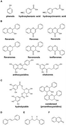 Diversity of Chemical Structures and Biosynthesis of Polyphenols in Nut-Bearing Species